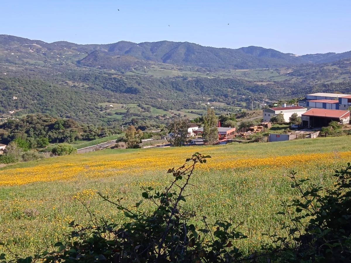 La Sierra Cortes de la Frontera