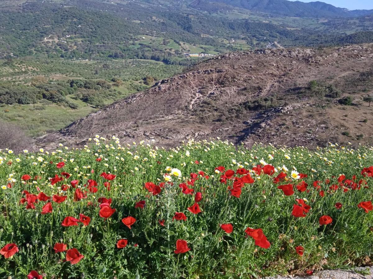 Pensión La Sierra *